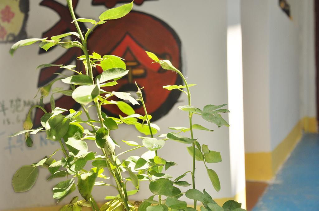 Xi'An Maoshe Youth Hostel Kültér fotó